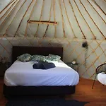 Yurt In Orange Grove