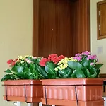 D.Ana Guesthouse