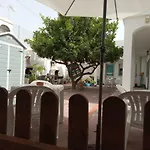 Poupa D'Alvor
