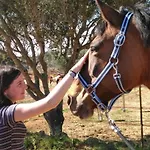 Caval'Emocao