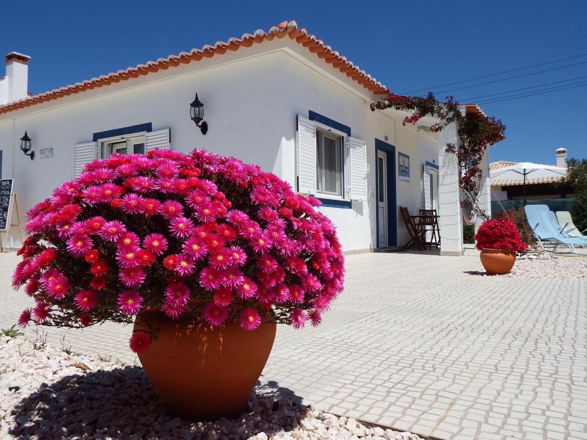 Onda Vicentina Aljezur